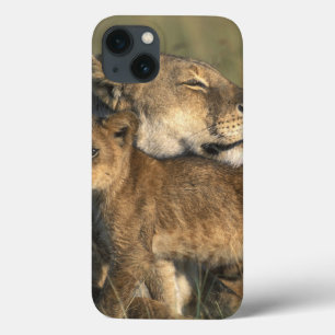 Kenya, Masai Mara Game Reserve, Lioness iPhone 13 Case