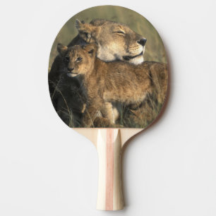Kenya, Masai Mara Game Reserve, Lioness Ping Pong Paddle