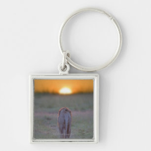 Kenya, Masai Mara Key Ring