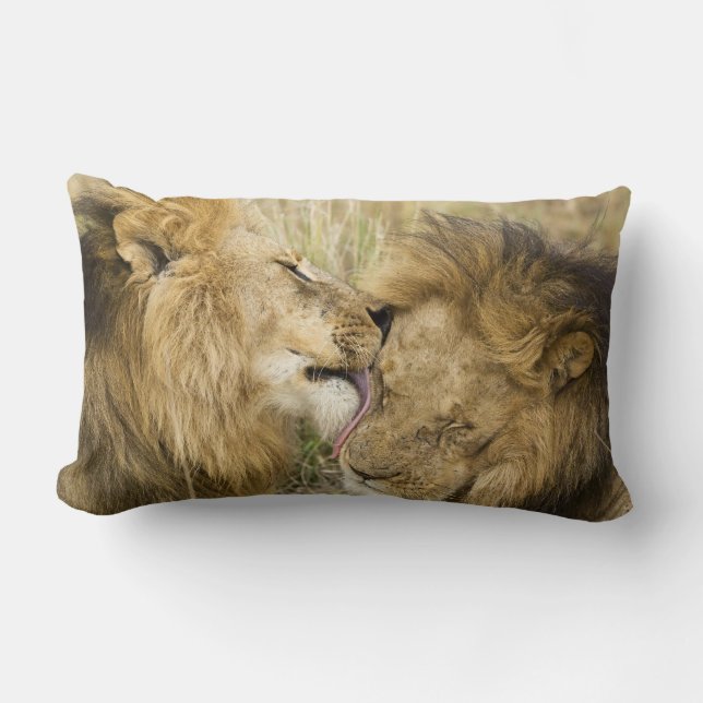Kenya, Masai Mara Lumbar Cushion (Front)