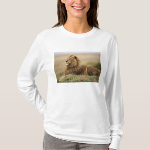 Kenya, Masai Mara Male Lion T-Shirt