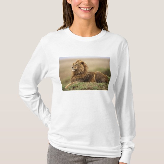 Kenya, Masai Mara | Male Lion T-Shirt (Front)