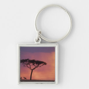 Kenya: Masai Mara National Park, Sunset. Key Ring