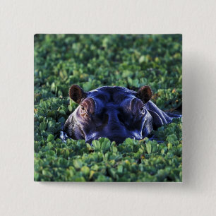 Kenya, Masai Mara National Reserve. 15 Cm Square Badge