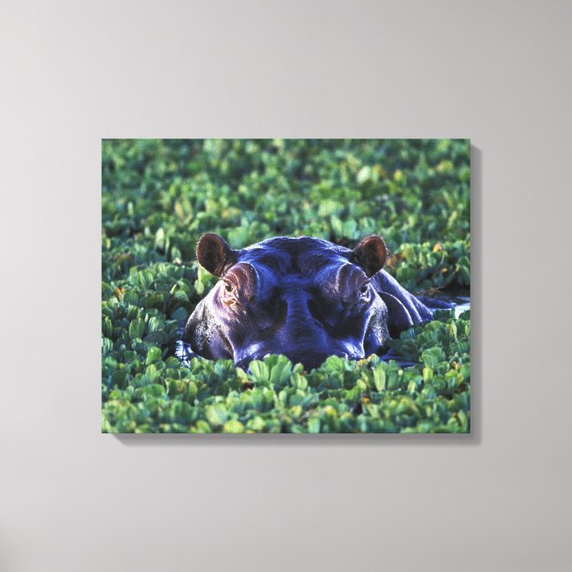 Kenya, Masai Mara National Reserve. Canvas Print (Front)