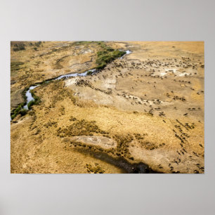 Kenya: Masai Mara National Reserve, Mara Poster