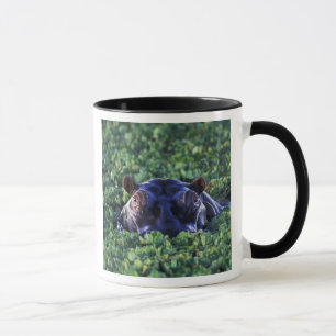 Kenya, Masai Mara National Reserve. Mug