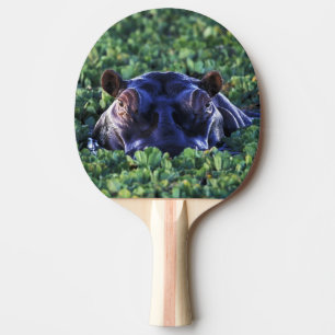 Kenya, Masai Mara National Reserve. Ping Pong Paddle