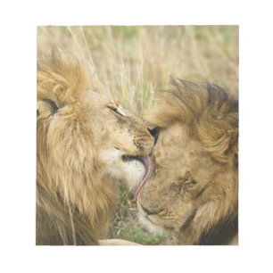 Kenya, Masai Mara Notepad