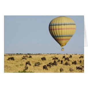 Kenya, Masai Mara. Tourists ride hot air balloon