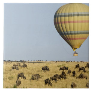 Kenya, Masai Mara. Tourists ride hot air balloon Tile