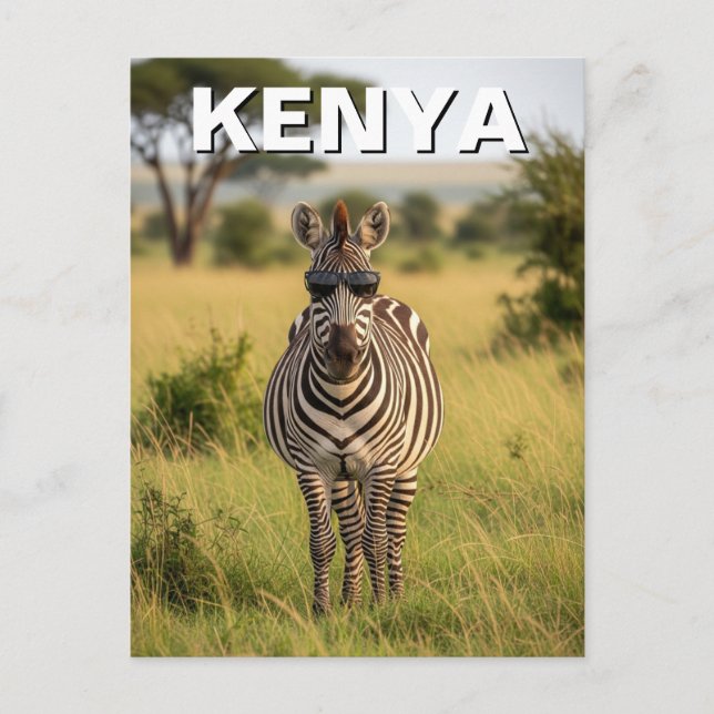 Kenya Masai Mara Zebra with sunglasses Postcard (Front)