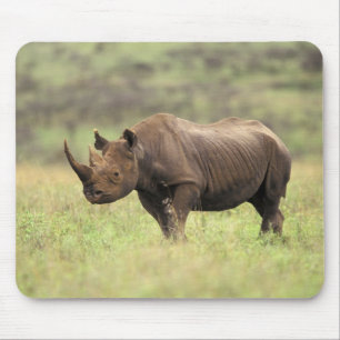 Kenya, Nairobi National Park. Black Rhinoceros Mouse Pad