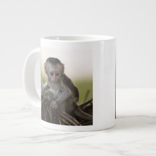 Kenya, Samburu Game Reserve. Vervet Monkey Large Coffee Mug