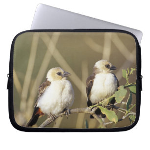 Kenya, Samburu National Reserve Laptop Sleeve