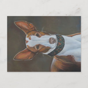 Kenzie the Ibizan Hound Dog Art Postcard