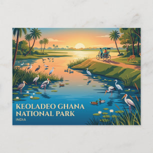 Keoladeo Ghana National Park India Postcard