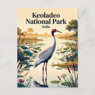 Keoladeo National Park India Postcard