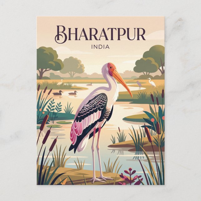 Keoladeo National Park India Postcard (Front)