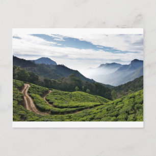 Kerala one side and Tamil Nadu in the background, Postcard