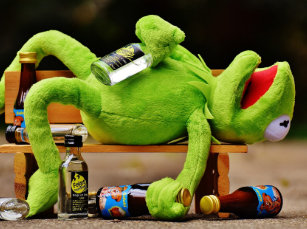Kermit Bemoeit Niet Home Facebook