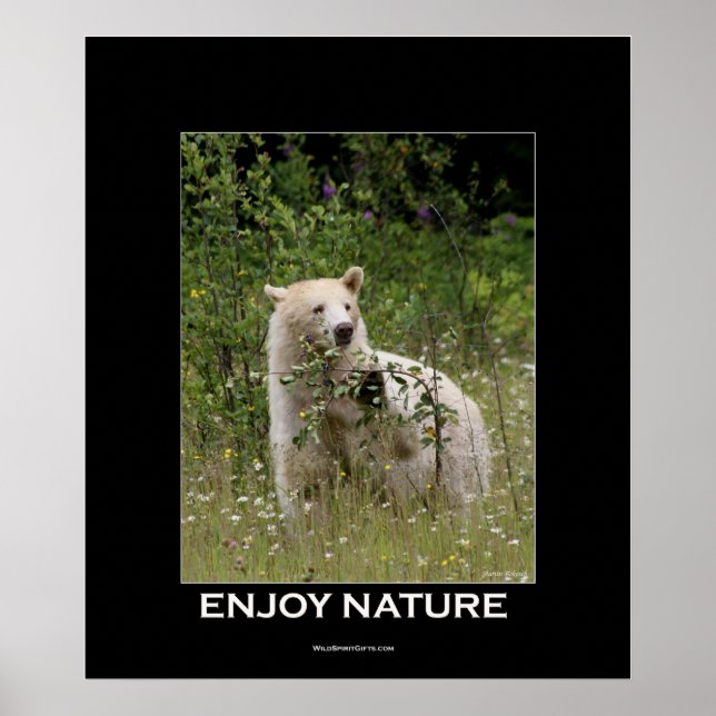 Kermode Bear Motivational Poster (Front)