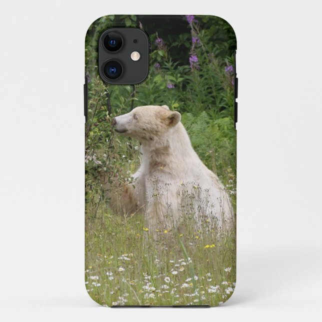 Kermode Spirit Bear Wildlife iPhone Case (Back)