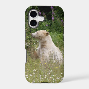 Kermode Spirit Bear Wildlife iPhone Case