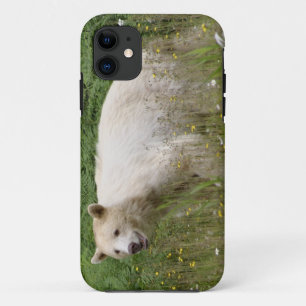Kermode Spirit Bear Wildlife iPhone Case