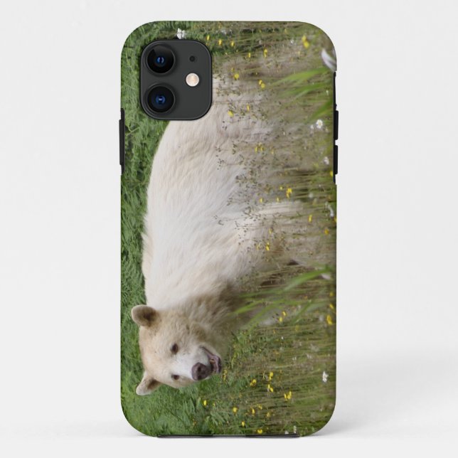 Kermode Spirit Bear Wildlife iPhone Case (Back)