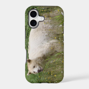 Kermode Spirit Bear Wildlife iPhone Case
