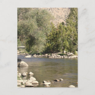 Kern River Postcard! Postcard
