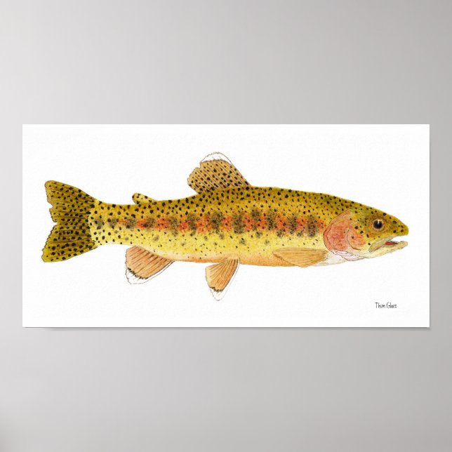Kern River Rainbow Trout Art Poster (Front)