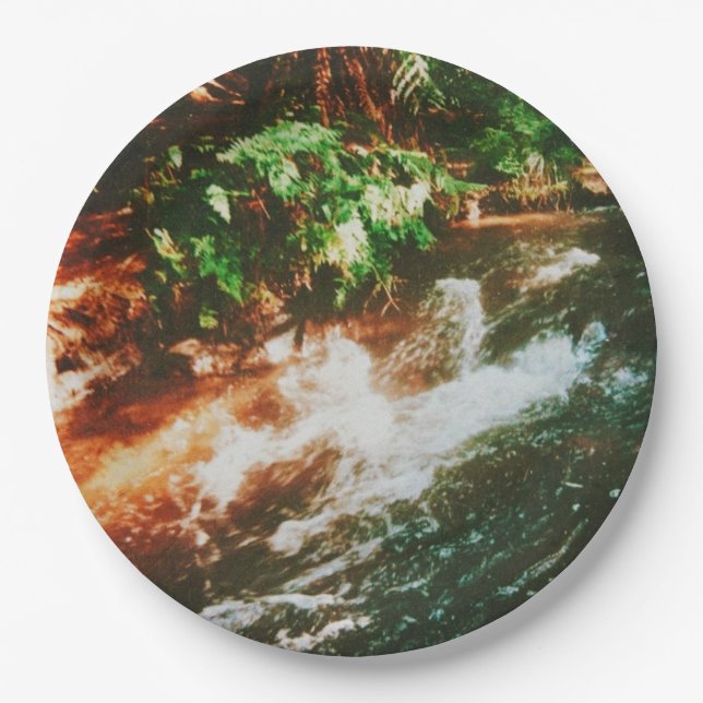 Kerosene Creek, Rotorua, New Zealand  Paper Plate (Front)