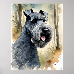 Kerry Blue Terrier - Dog Art Print