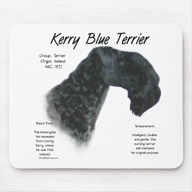 Kerry Blue Terrier History Design Mouse Pad (Front)