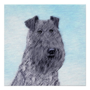 Kerry Blue Terrier Painting Cute Original Dog Art Poster