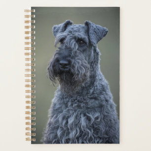 Kerry Blue Terrier Planner