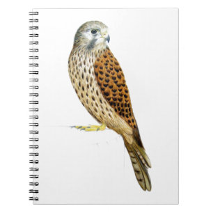 Kestrel 2011 spiral notebook
