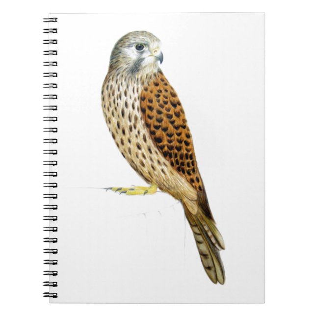 Kestrel 2011 spiral notebook (Front)