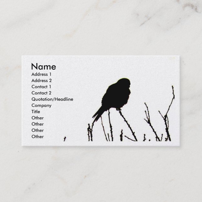 Kestrel Business Card (Front)
