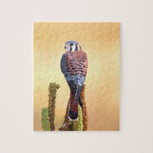Kestrel, Falco sparverius, Native to US & Canada Jigsaw Puzzle