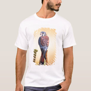 Kestrel, Falco sparverius, Native to US & Canada T-Shirt