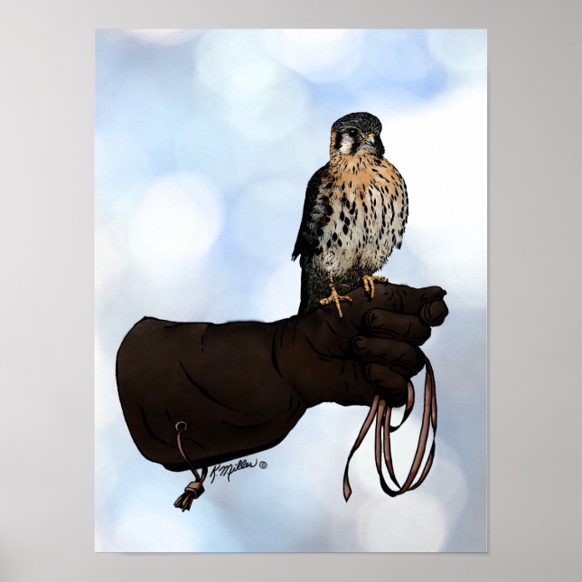 Kestrel on Glove Illustration Poster (Front)