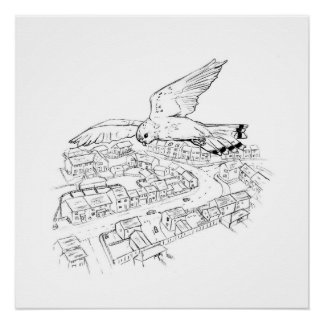 Kestrel over city picture / sketch poster