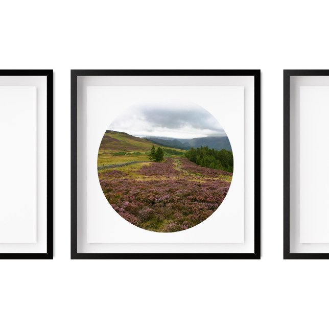 Keswick Lake District Hike Fields of Heather Photo Poster (Creator Uploaded)