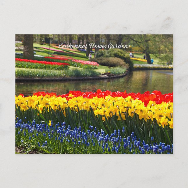 Keukenhof Flower Gardens Postcard (Front)
