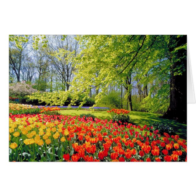 KEUKENHOF GARDENS (Front Horizontal)