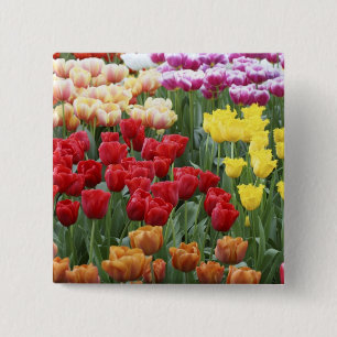 Keukenhof Gardens, Holland, specialises in 2 15 Cm Square Badge