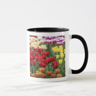 Keukenhof Gardens, Holland, specialises in 2 Mug